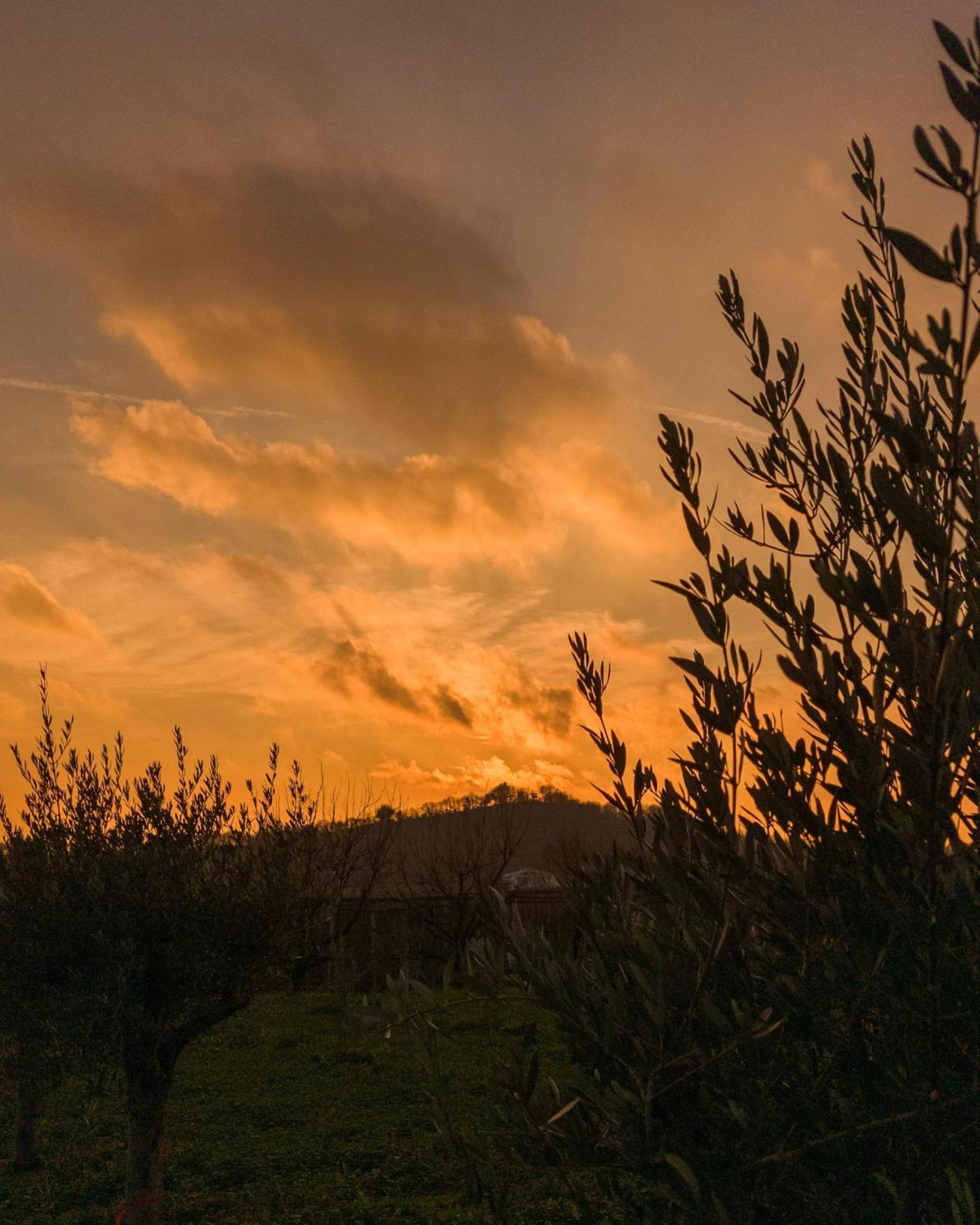 קסטלארו Ca Nova Agriturismo מראה חיצוני תמונה