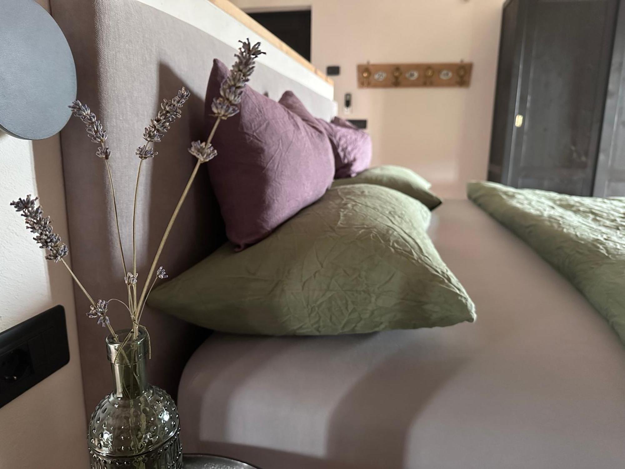 קסטלארו Ca Nova Agriturismo מראה חיצוני תמונה